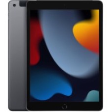 Apple 10.2-inch iPad Wi-Fi + Cellular - 9th generation - tablet - 256 GB - 10.2" IPS (2160 x 1620) - 3G, 4G - LTE - space gray